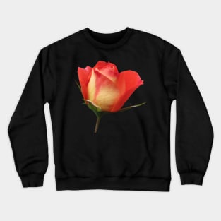 orange rose, roses, flower, flowers, bloom Crewneck Sweatshirt